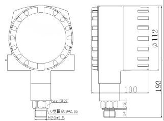 CWY100 Digital Pressure Test Gauge