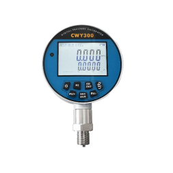 Calabraitheoir Brú Digiteach CWY300