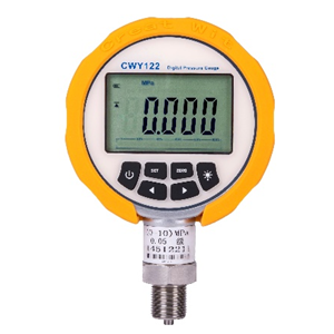 Tomhsaire Brú Digiteach